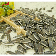 Wholesale Sunflower Seeds Pure Sunflower Seeds 361, 363 5009, 601